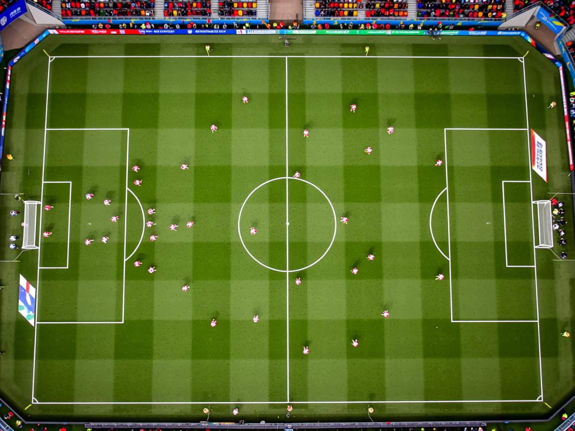 开云体育app下载-加拿大游泳选手技术动作对比，加拿大游泳选手技术动作对比视频  第3张